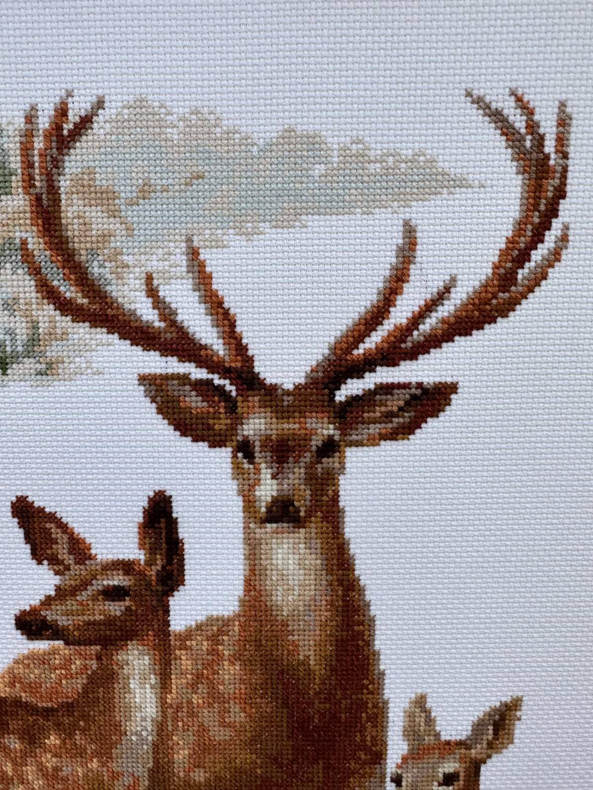 RIOLIS 1370 Herten Geteld Kruissteekpakket Wildlife Kunstcadeau