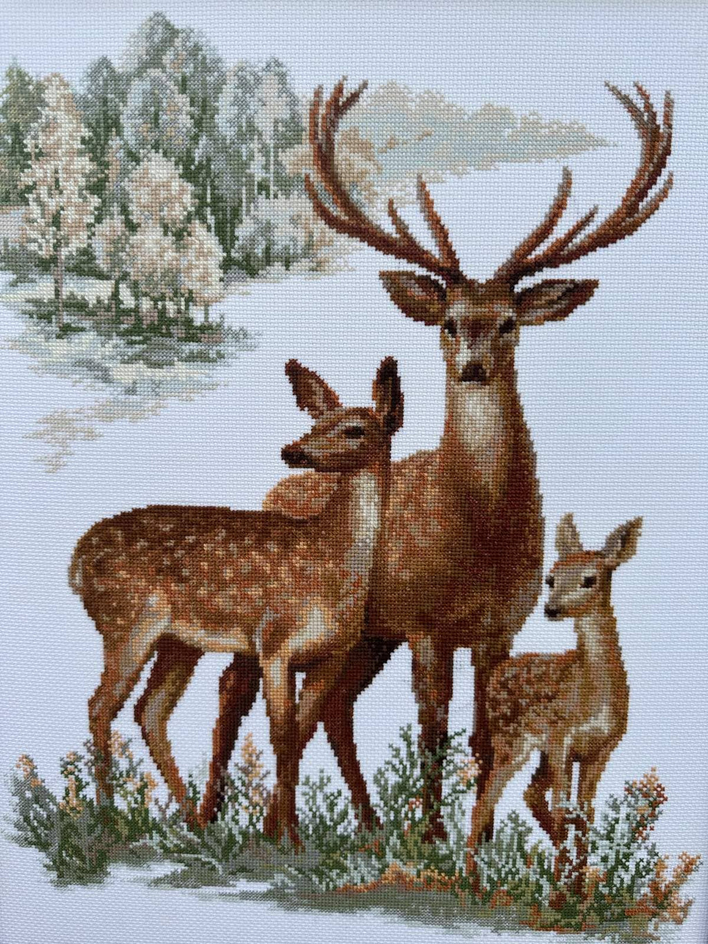 RIOLIS 1370 Herten Geteld Kruissteekpakket Wildlife Kunstcadeau