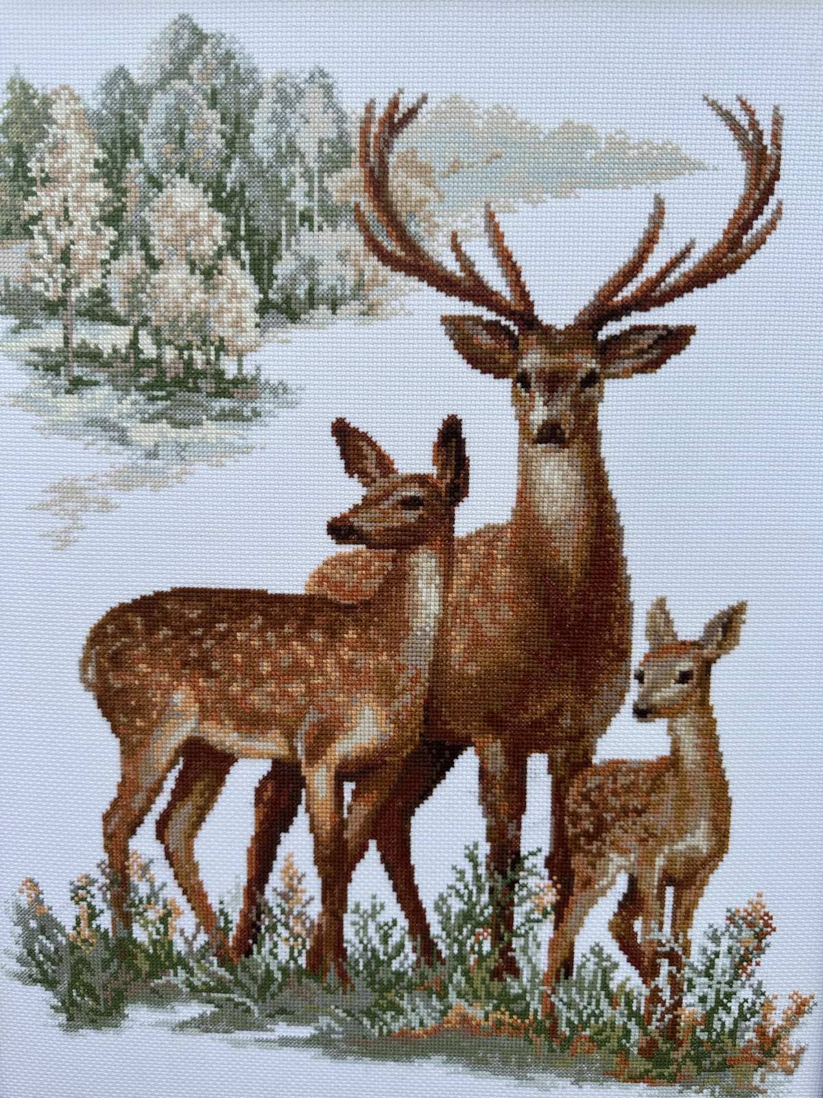 RIOLIS 1370 Herten Geteld Kruissteekpakket Wildlife Kunstcadeau