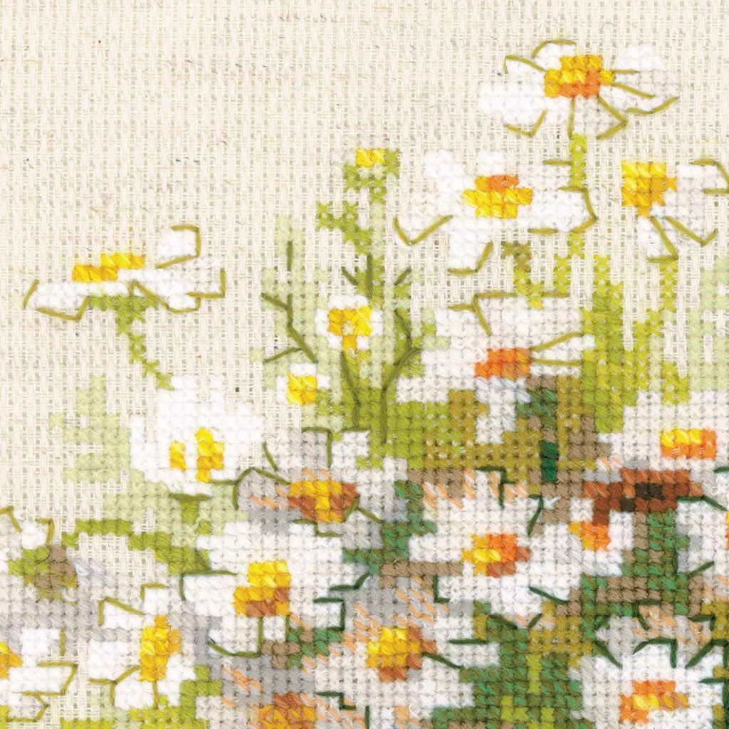 RIOLIS 1478 Madeliefjes kruissteekpakket (geteld) bloemenmand